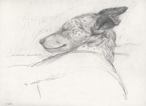 10322613_2013_Drawing on paper_A4