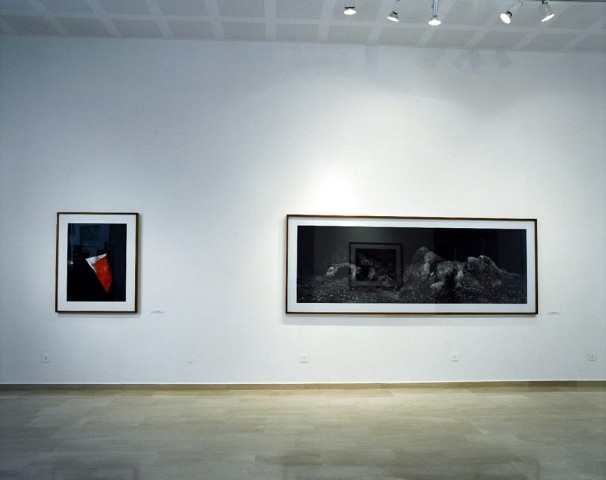 103Installation view