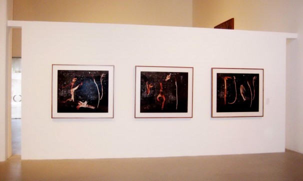 104Installation view