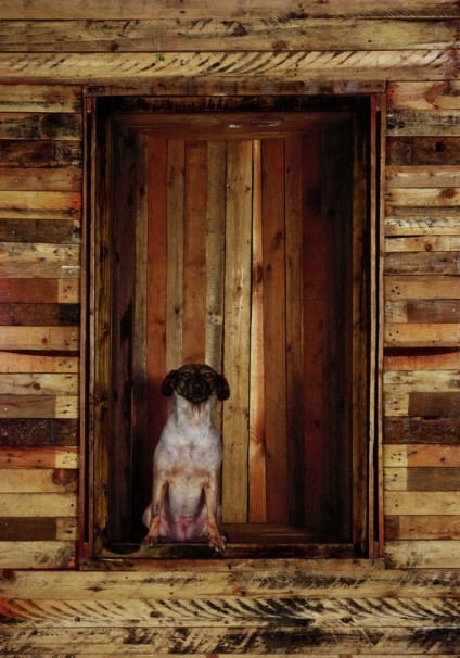 109Dog-Boy_2008_c-print_100x70 cm