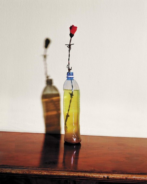 Rose of Bread, 2006, LP, 90x72 cm. שושנת לחם