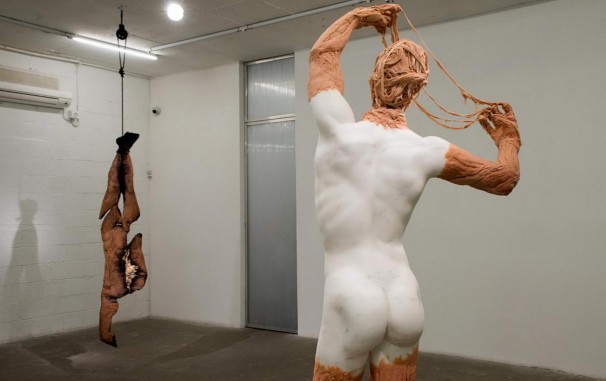 115Installation view