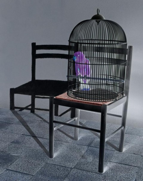Lets(shadow), 120x93, $4,500