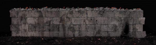 Wall, 2005, Lambda print, 125x436 cm. גדר