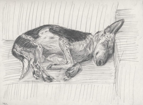 12014913_2013_Drawing on paper_A4