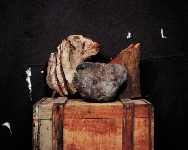 Sleeping Man and Hyena, 2007, LP, 56x70 cm. איש ישן וצבוע