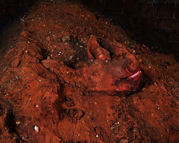 Earth Pig, 2006,LP, 70x90 cm, חזיר אדמה