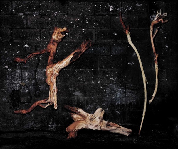 Wood and Ropes, 2007, LP, 92.5x110.3 cm. עצים וחבלים