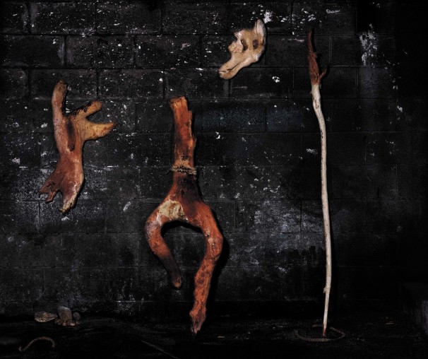 Wood and Ropes, 2007, LP, 92.5x110.3 cm. עצים וחבלים