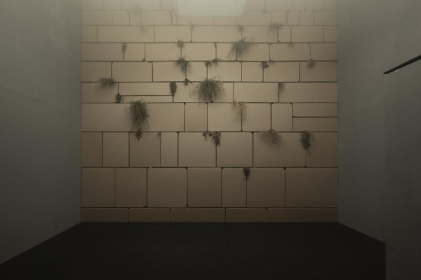 051Above and Beyond_2013_cardboard, natural vegetation, OSB sheets, projections and sound_429 minutes