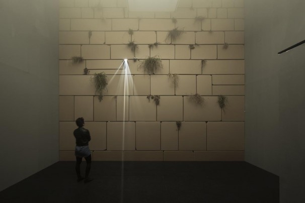 052Above and Beyond_2013_cardboard, natural vegetation, OSB sheets, projections and sound_429 minutes