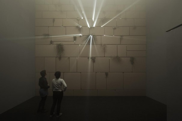 053Above and Beyond_2013_cardboard, natural vegetation, OSB sheets, projections and sound_429 minutes
