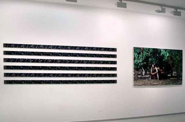 102Installation view 3