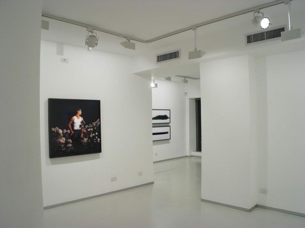 103Installation view 3