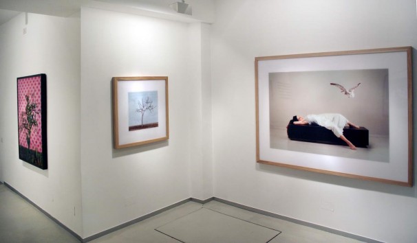104Installation view 2