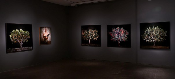 104Installation view 4