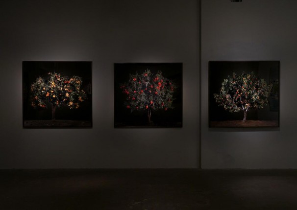 105Installation view 2