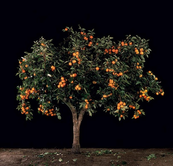 66x70 cm $9,000