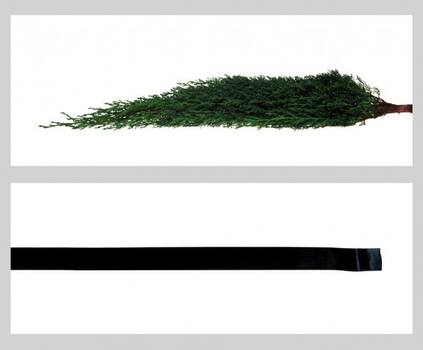 Untitled, 2003, 47x125 cm each