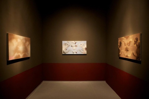 111The Dynamic Dead Roee Rosen_Installation view_Ujazdowski Castle, Warsaw, 2011 11