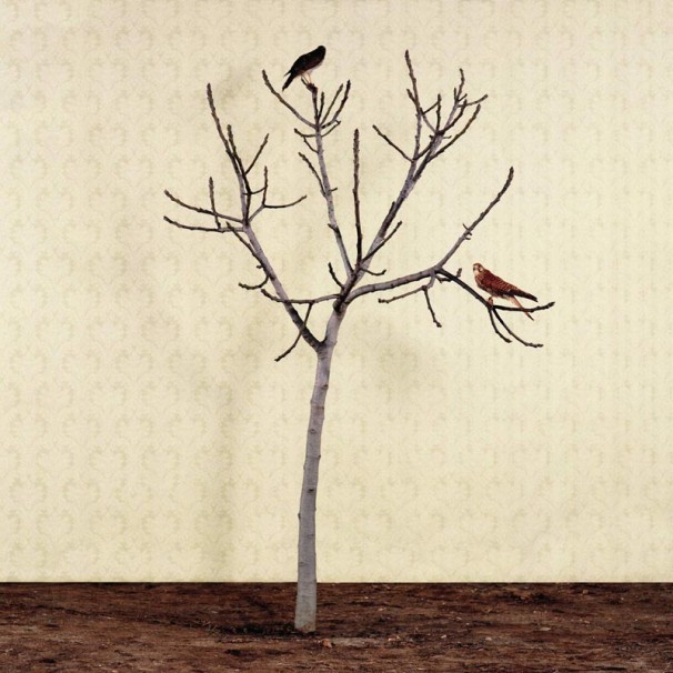 111Untitled_2005_color print_76x76 cm