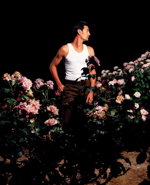 2003, 100x100