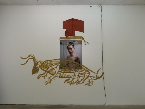 113Untitled_2012_mixed media
