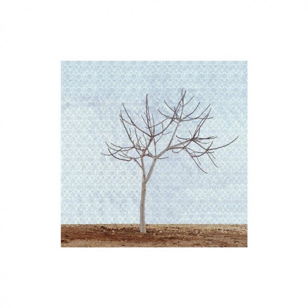 116Untitled_2005_color print_74x74 cm