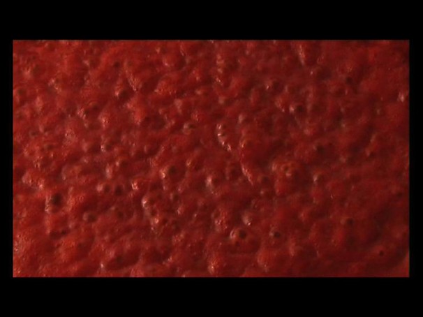 125The Confessions of Roee Rosen (detail)_2008_vudeo_56 minutes 32