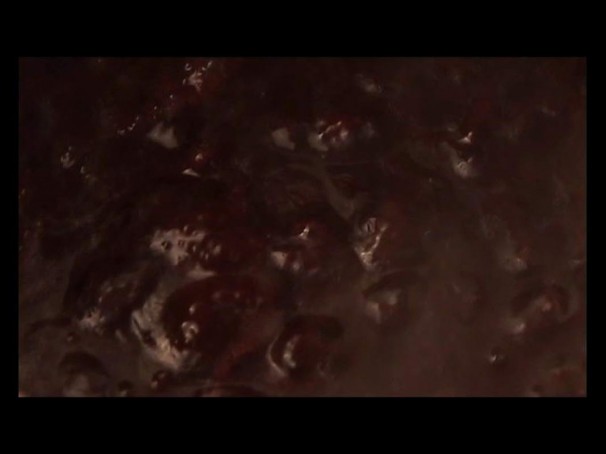 126The Confessions of Roee Rosen (detail)_2008_vudeo_56 minutes 33