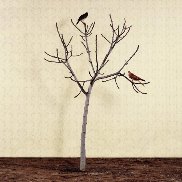 2005, 76x76