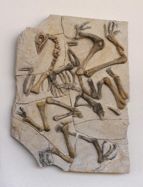 313KFC_2010_limestone_37x30 cm