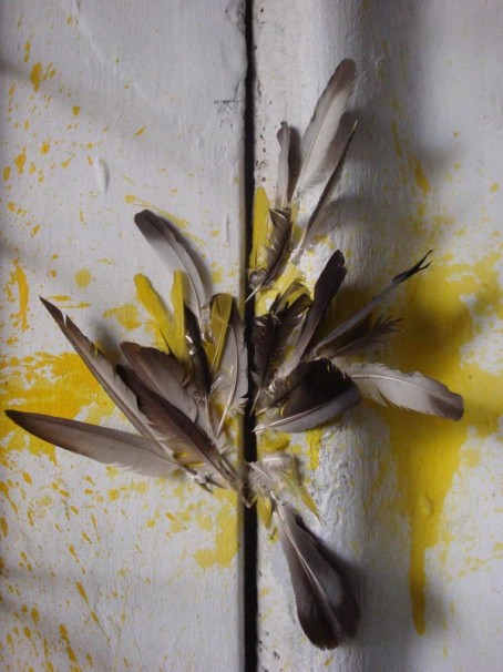 320Feather I_2012_print on archival paper_60x45 cm