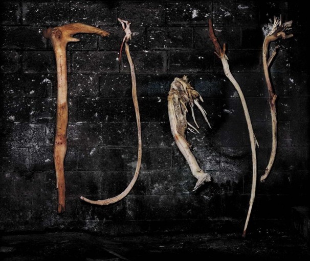Wood and Ropes, 2007, LP, 92.5x110.3 cm. עצים וחבלים