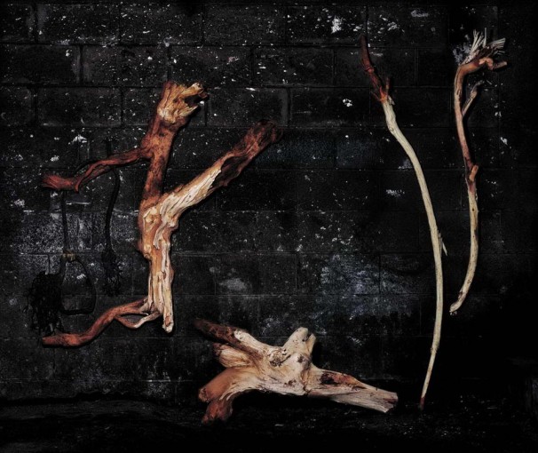 Wood and Ropes, 2007, LP, 92.5x110.3 cm. עצים וחבלים