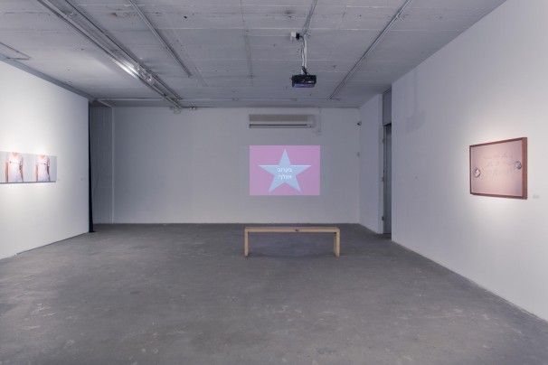 097Installation view_2016