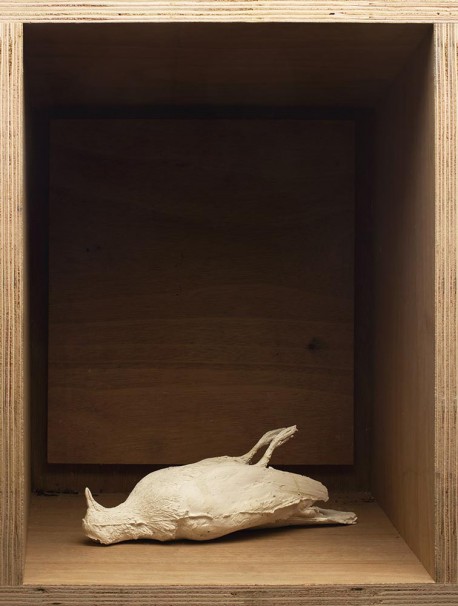 103Pigeon at the Entrance to the Studio (to SP)_2015_color print_45x35 cm