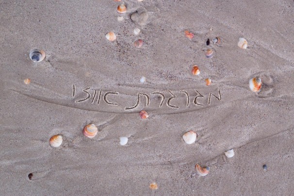 105Wild Child_2015_injekt print_60x90 cm_inscription Gargling Ouzo.