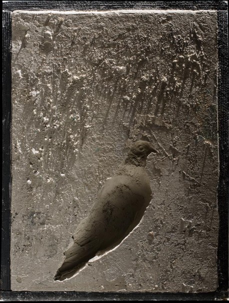 106Missing Pigeon_2015_color print_45x35 cm