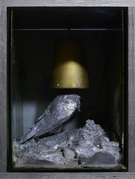114Pigeon with a Bell_2015_color print_45x35 cm