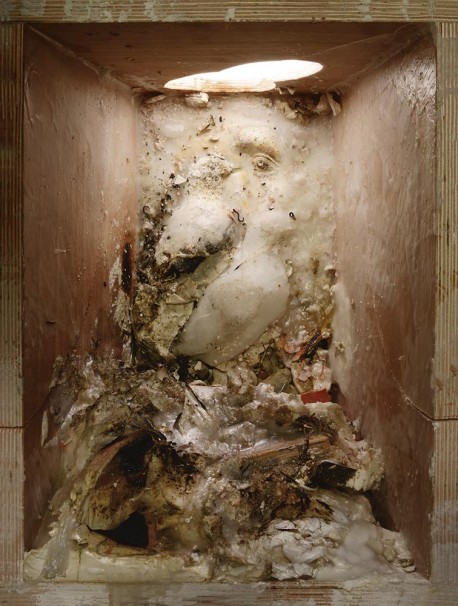 115Untitled_2015_color print_45x35 cm