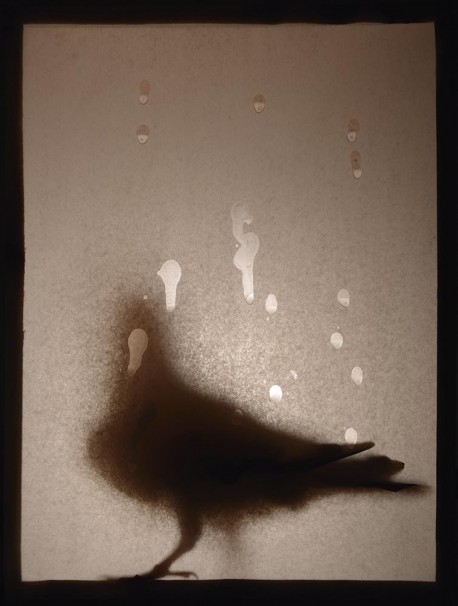 117Silhouette I_2015_color print_45x35 cm