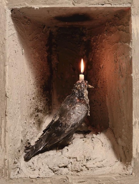 120Pigeon to Candle_2015_color print_45x35 cm