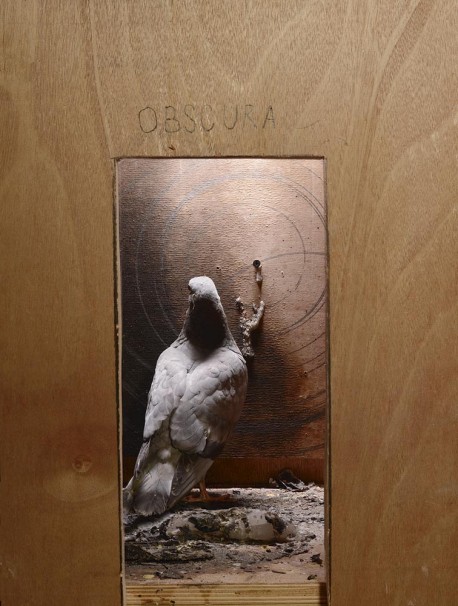 124Camera Obscura_2015_color print_45x35 cm