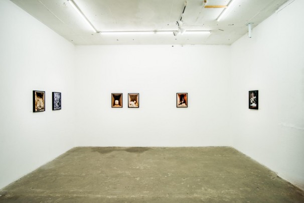 97Installation view