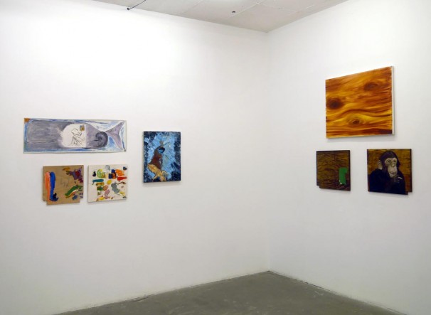 098Installation view