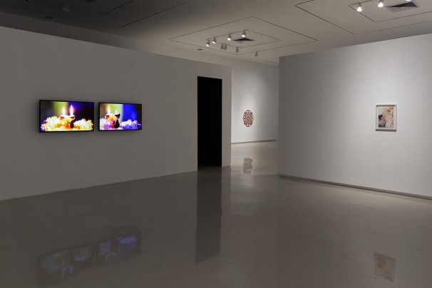103Installation view