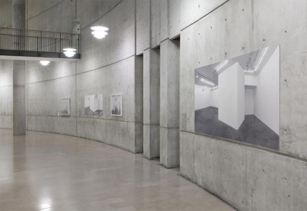 203Installation view