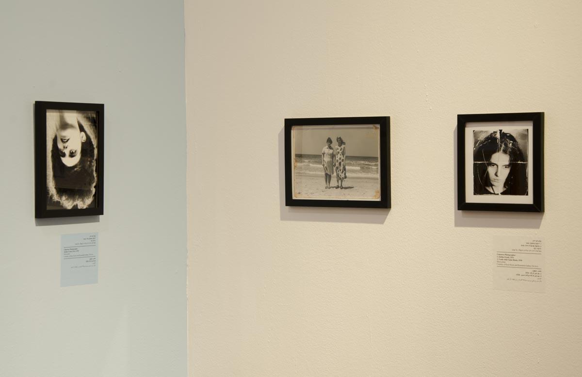 Justine Frank: A Retrospective - Rosenfeld Gallery